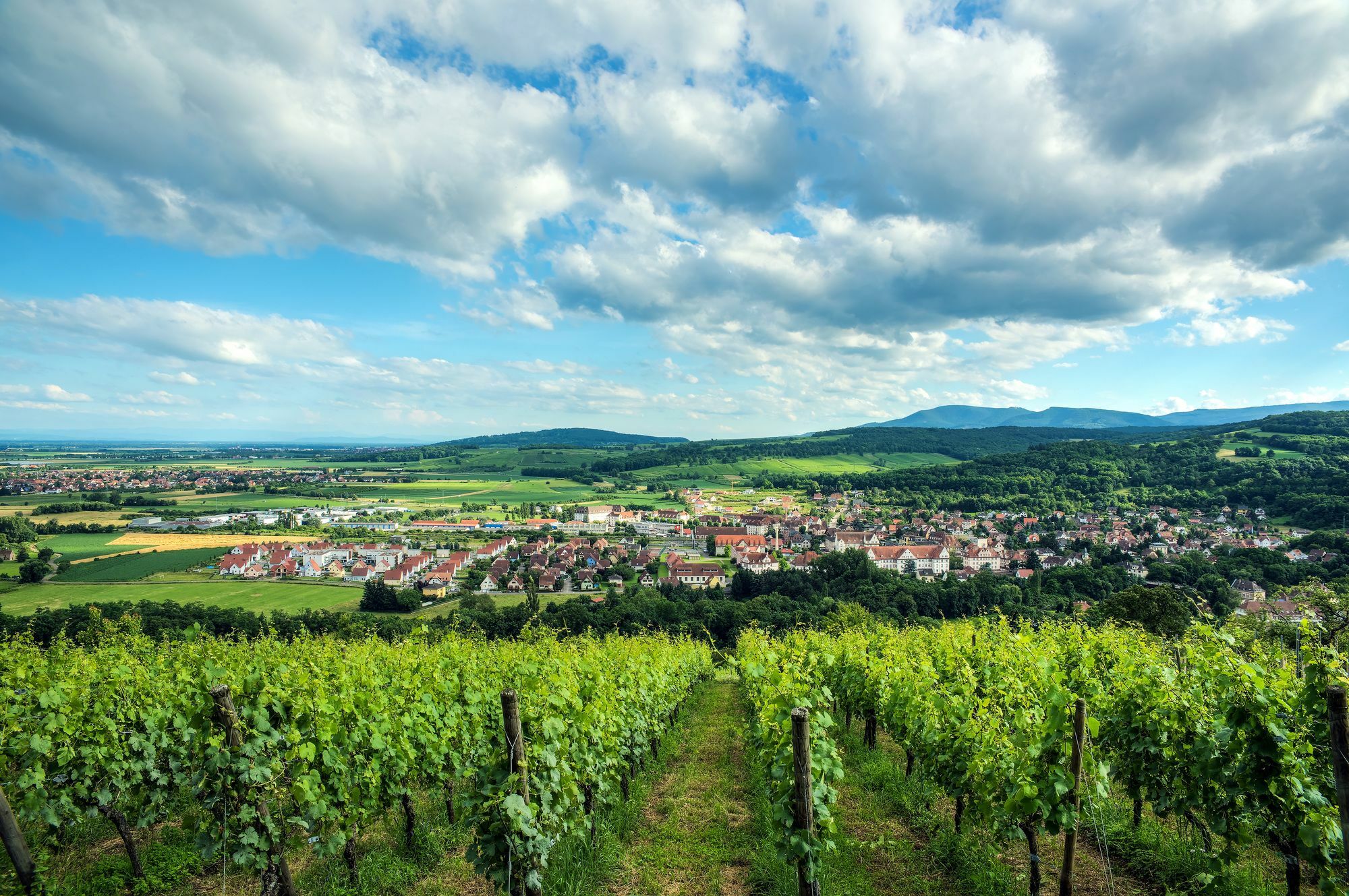 Comfort Aparthotel Mutzig Portes D'Alsace ภายนอก รูปภาพ